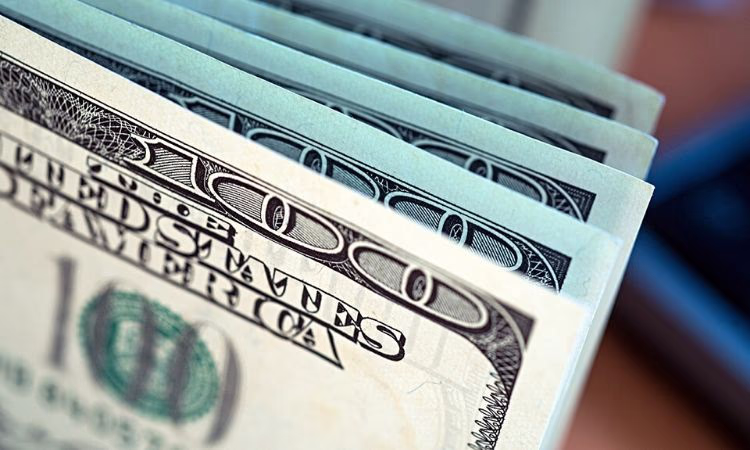 Только 26 процентов денег от доноров - гранты