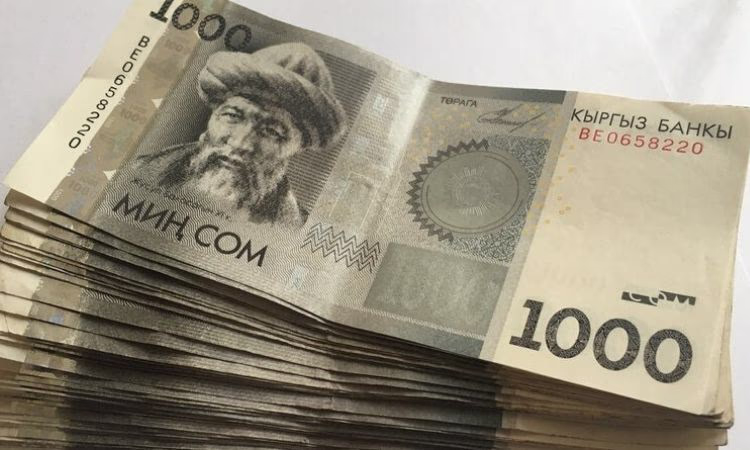 Подробности отсрочек кредитов микрофинансового сектора