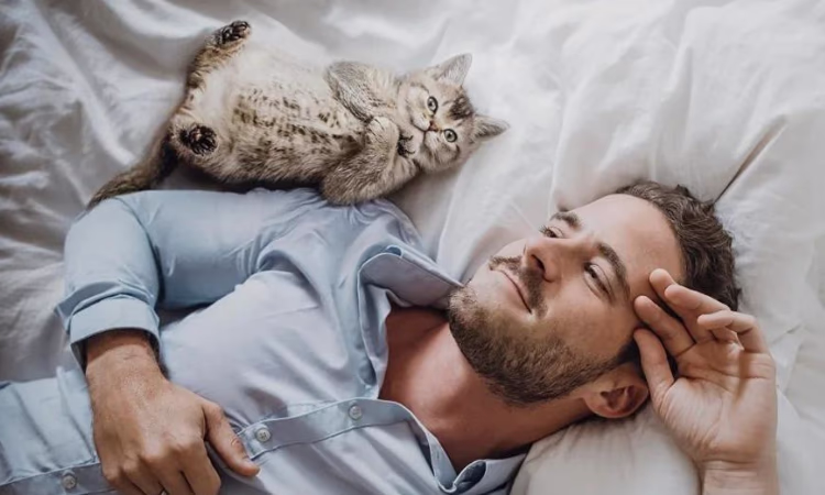 Как одолжить деньги и спать спокойно?