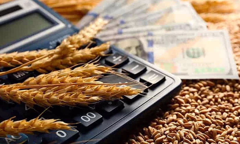 Во всех областях Кыргызстана фермеры могут активно пользоваться исламским банкингом