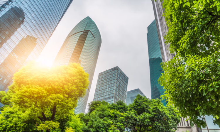 В 2021 году к сети Green Cities примкнули девять новых городов