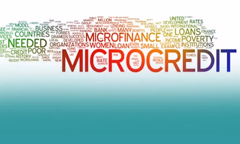 Нацбанк КР зарегистрировал микрокредитное агентство «Эко Сервис»