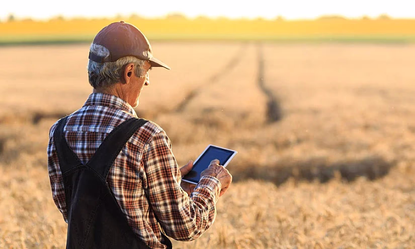 Пора засеивать поля: Что нужно узнать, прежде чем взять агрокредит?