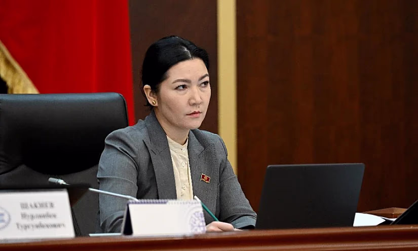 Законопроект о перечислении прибыли Нацбанка КР принят в первом чтении