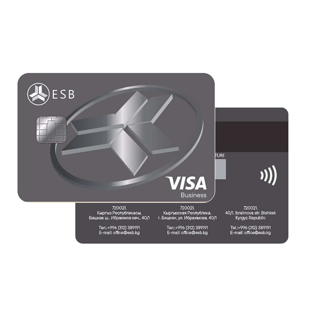 Visa Business