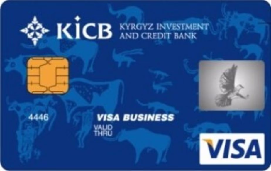 Visa Business