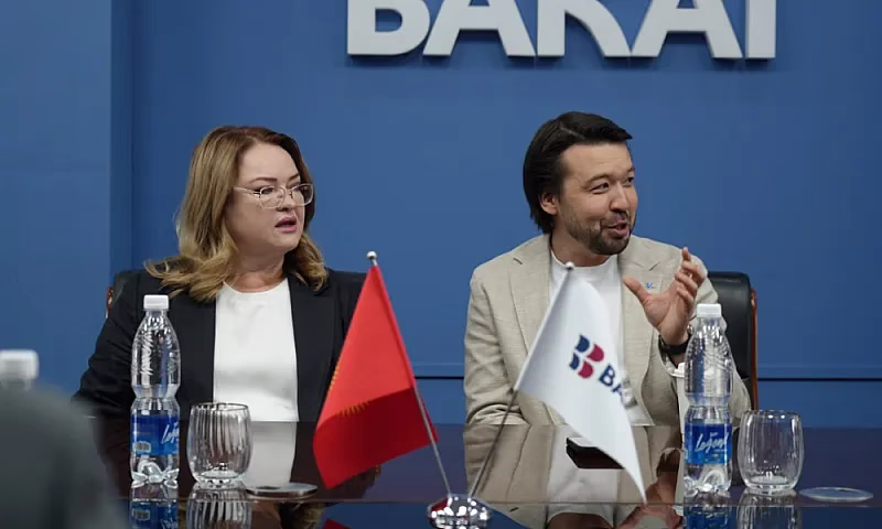 Дизайн без названия