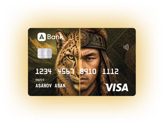 Карта Visa Nomad