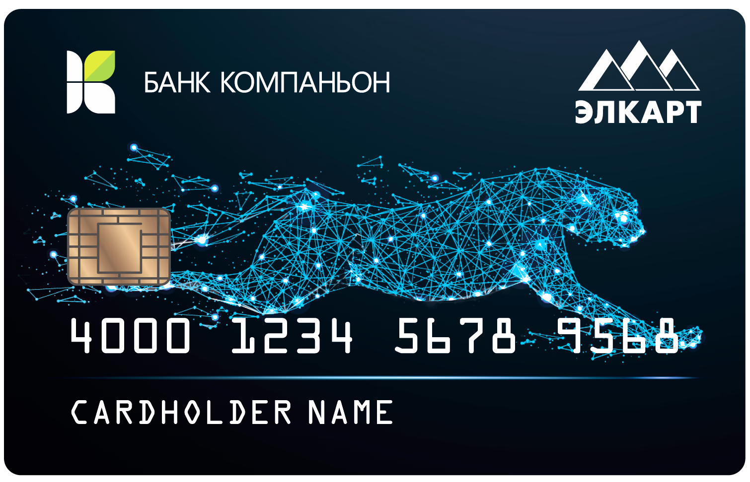 Карта Социальные выплаты